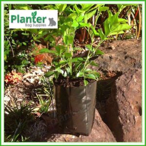 1 litre poly planter bag plant Growbag - Planter Bag Supplies NZ - for more info go to planterbags.co.nz