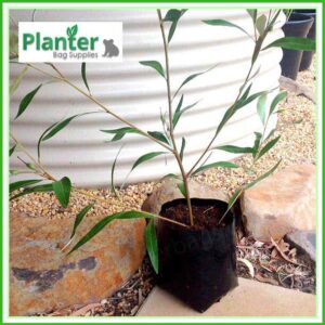 10 litre Standard Poly Planter bag plant Growbag PB18 - Planter Bag Supplies NZ - for more info go to planterbags.co.nz