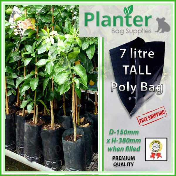 7 litre tall poly planter bag plant Growbag - Planter Bag Supplies NZ - for more info go to planterbags.co.nz