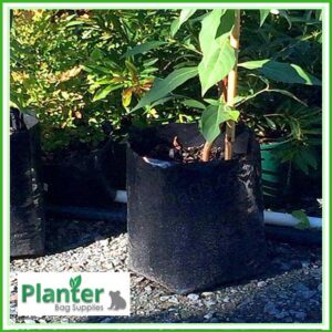 20 litre Squat Poly Planter bag plant Growbag - Planter Bag Supplies NZ - for more info go to planterbags.co.nz