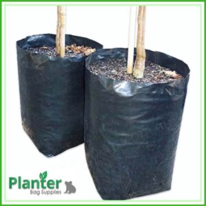 20 litre Tall Poly Planter bag plant Growbag - Planter Bag Supplies NZ - for more info go to planterbags.co.nz