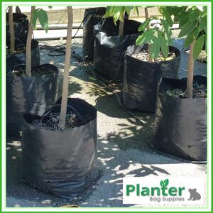 35 litre Poly Planter bag plant Growbag PB60 - Planter Bag Supplies NZ - for more info go to planterbags.co.nz