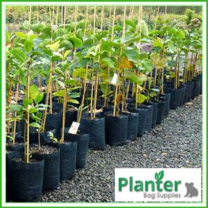 35 litre Poly Planter bag plant Growbag PB60 - Planter Bag Supplies NZ - for more info go to planterbags.co.nz