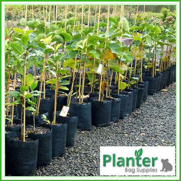 https://planterbags.co.nz/wp-content/uploads/2016/04/Poly-35-litre-Plant-Growbags-3.jpg