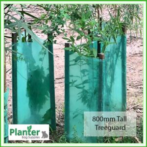 Tree Guard 800mm