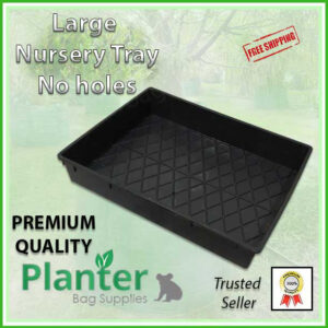 Large Nursery Tray Solid