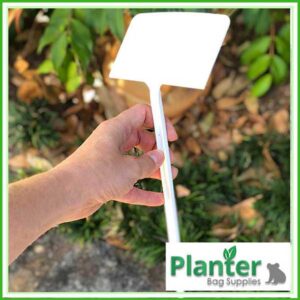 250mm White Display Plant Label – Angled Head Garden Sign